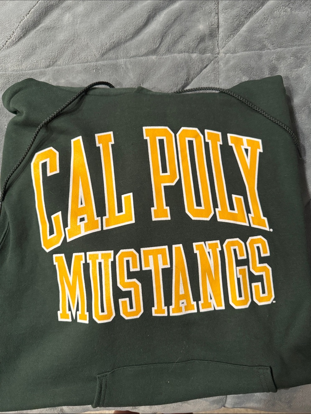 Champion Green Cal Poly Mustangs Hoodie with Yellow White Lettering